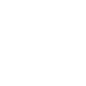 Lapland Safaris logo white
